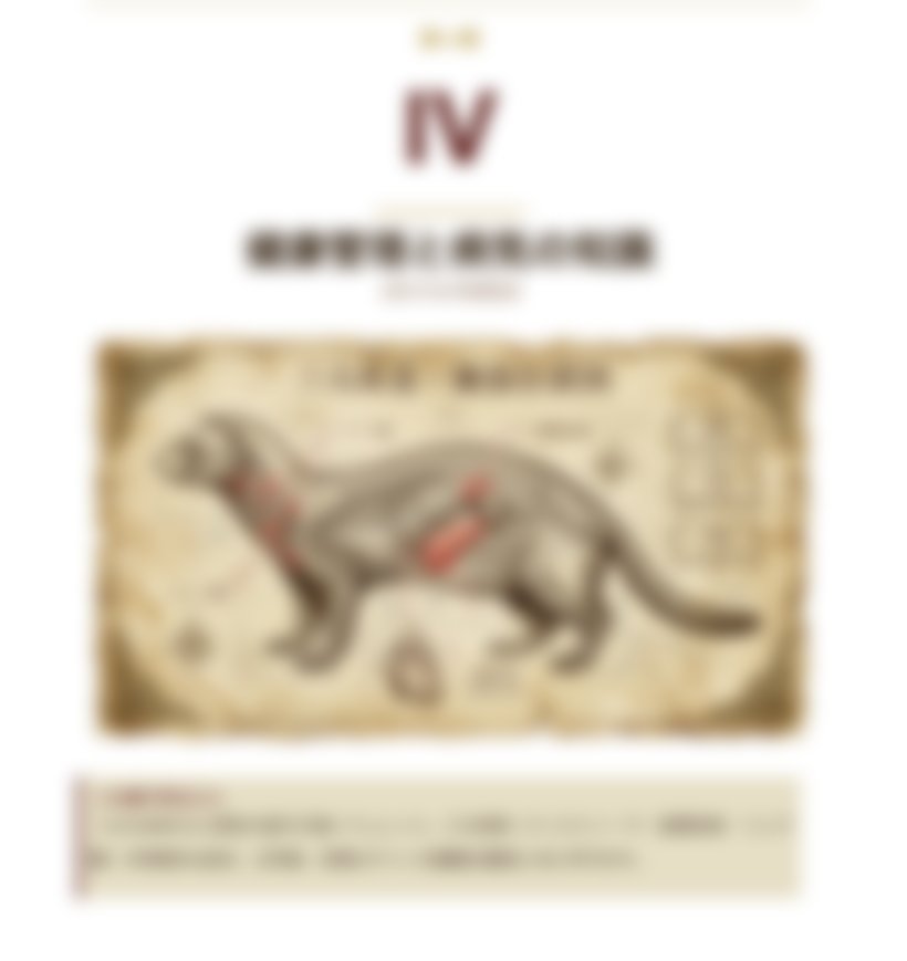 公式テキスト＋問題集の図解（イメージ）